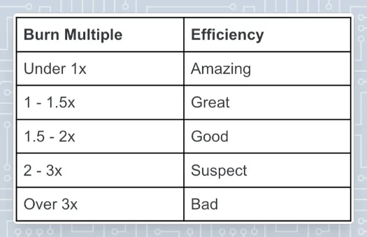 burn multiple SaaS metrics rubric